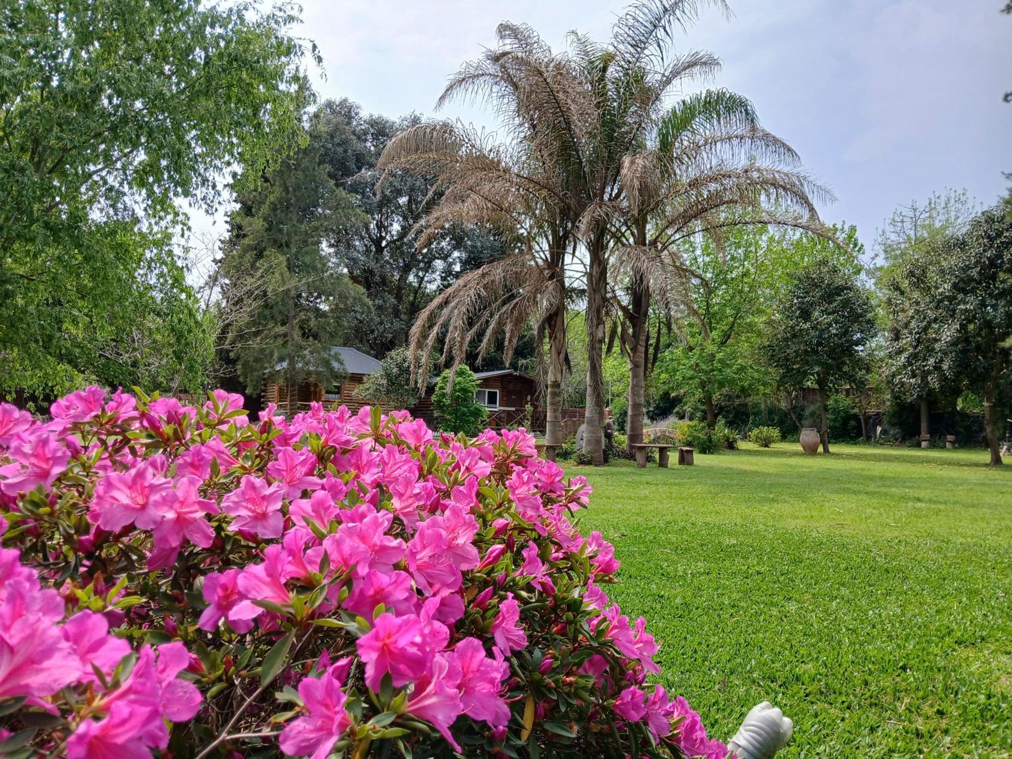 Pualy Resort & Spa Belén de Escobar Exteriér fotografie